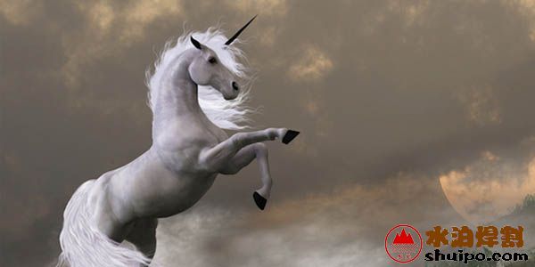 機(jī)器人或自動(dòng)化企業(yè)將有可能成為行業(yè)的獨(dú)角獸 機(jī)器人或自動(dòng)化企業(yè)將有可能成為行業(yè)的獨(dú)角獸